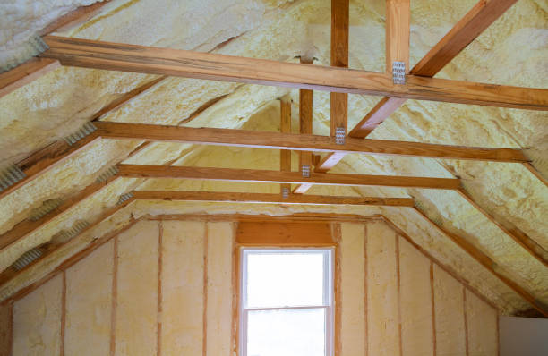 Best Cellulose Insulation in Port Charlotte, FL