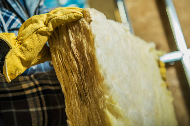 Best Geographic-Specific Insulation Services in Port Charlotte, FL
