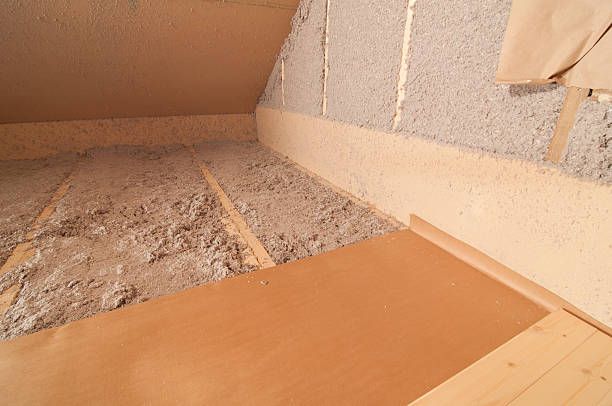 Best Eco-Friendly Insulation in Port Charlotte, FL